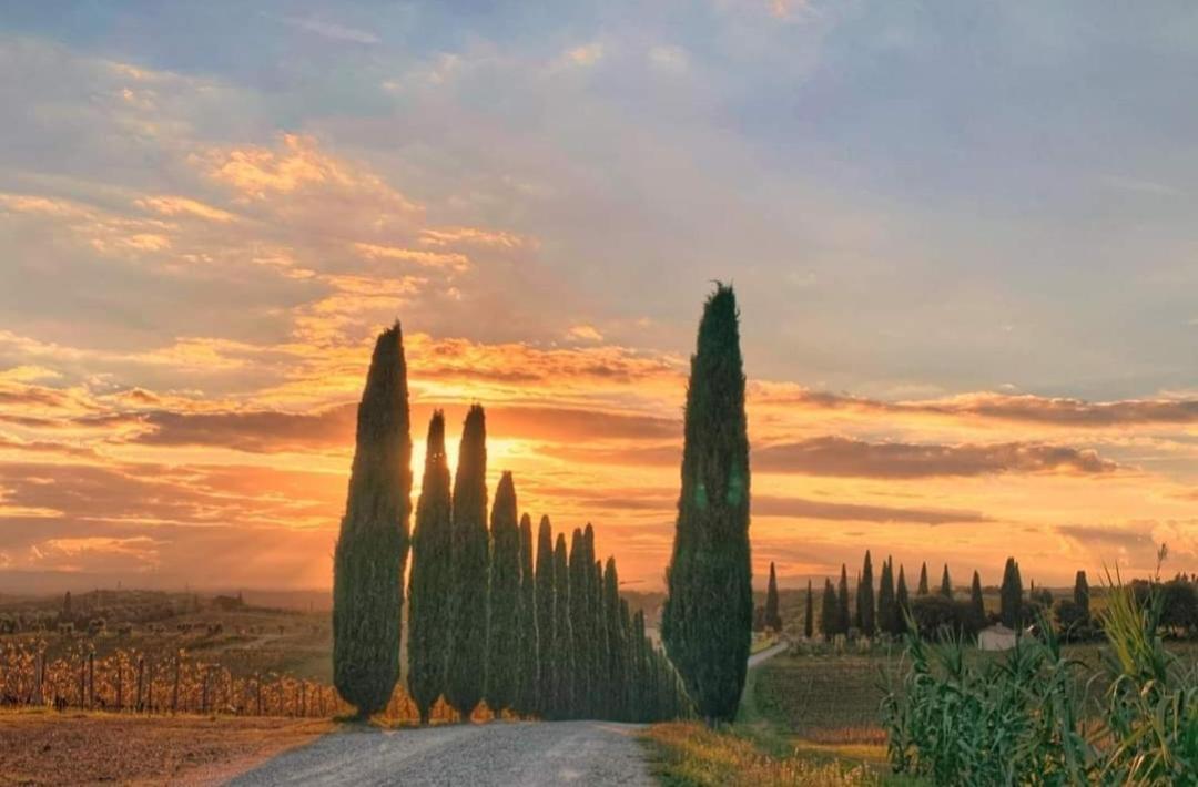 Casa Guardiavigna In Chianti Apartment San Gusme Екстериор снимка