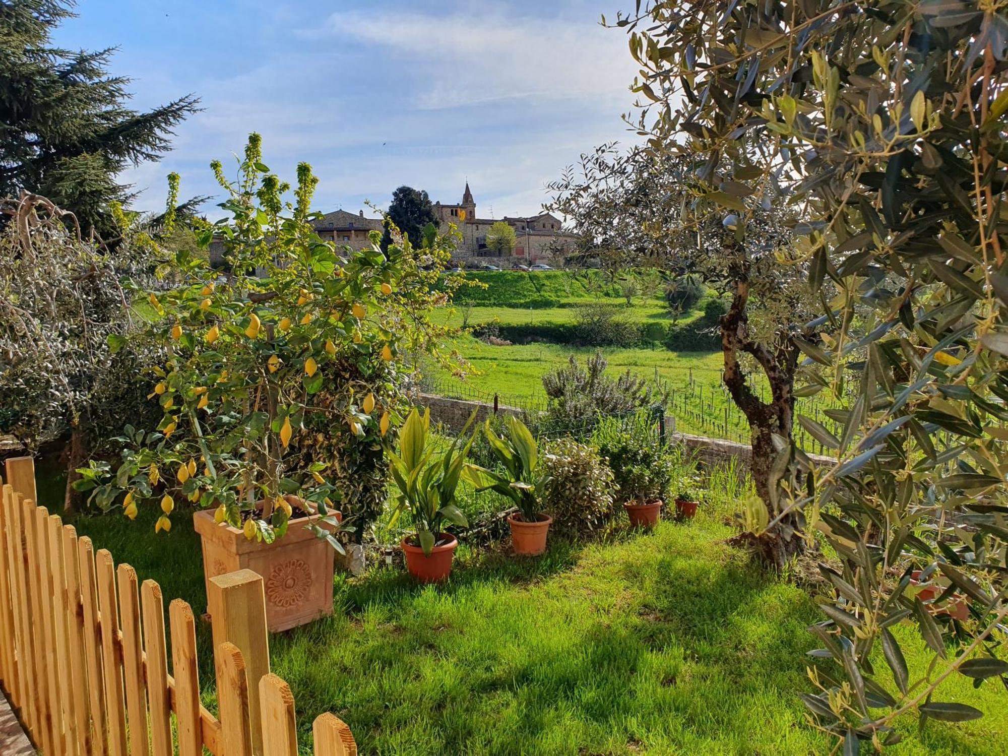 Casa Guardiavigna In Chianti Apartment San Gusme Екстериор снимка