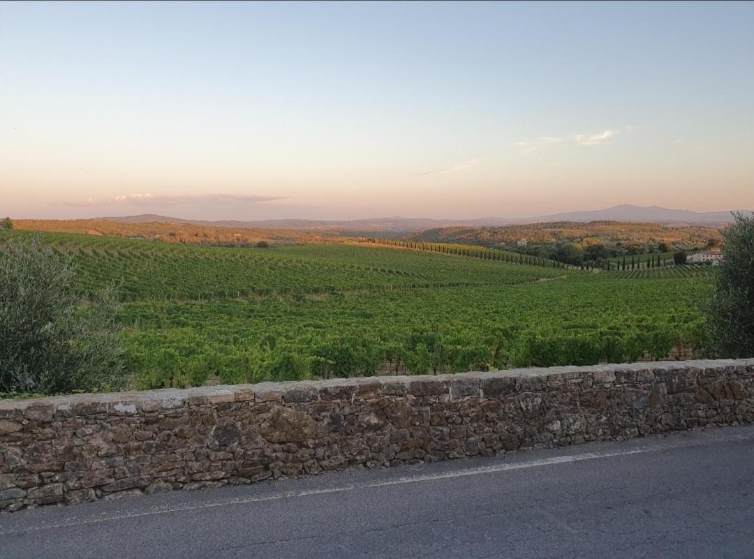Casa Guardiavigna In Chianti Apartment San Gusme Екстериор снимка